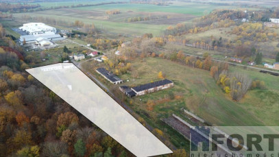 Magazyn Sprzedaż Dziwogóra