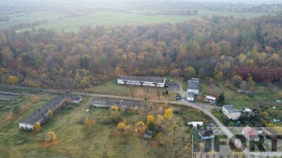 Magazyn Sprzedaż Dziwogóra