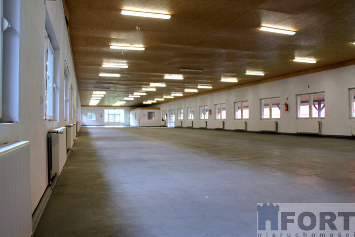 Magazyn Wynajem Lubieszyn 2
