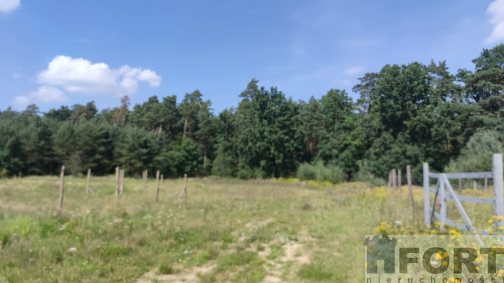 Działka Sprzedaż Kościno 3