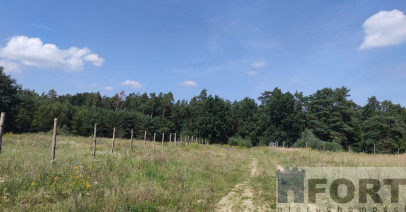 Działka Sprzedaż Kościno