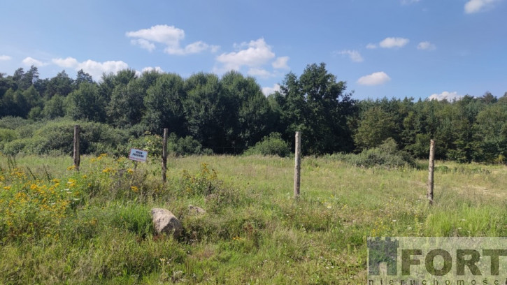 Działka Sprzedaż Kościno 5