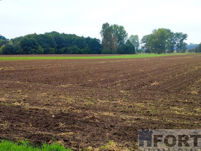 Działka na sprzedaż Rożnowo Nowogardzkie