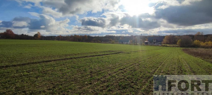 Działka Sprzedaż Goleniów 6