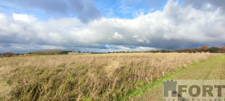 Działka Sprzedaż Goleniów 7