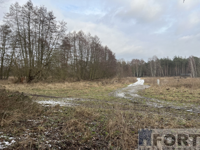 Działka Sprzedaż Brzózki 8