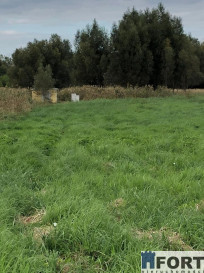 Działka Sprzedaż Dobra Hebanowa