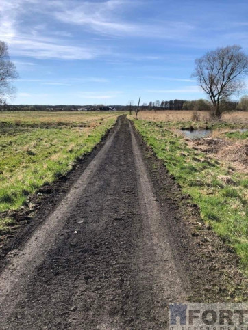 Działka Sprzedaż Dobra Hebanowa 19