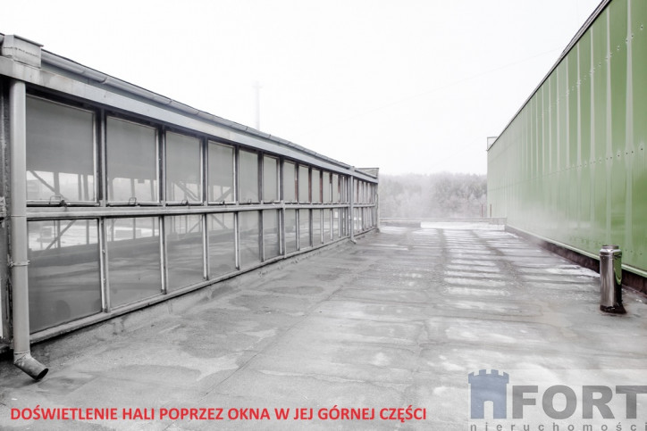 Obiekt Wynajem Szczecin 5