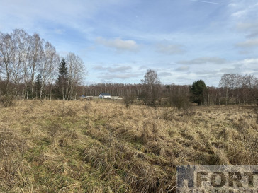 Działka Sprzedaż Storkowo