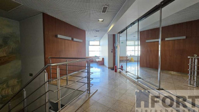 Lokal Wynajem Szczecin Centrum