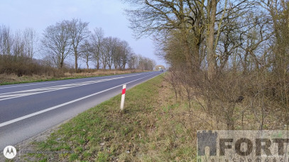 Działka Sprzedaż Dębina