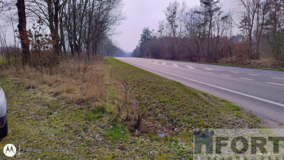 Działka Sprzedaż Dębina