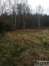 Działka Sprzedaż Stawno