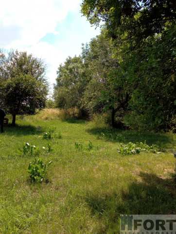 Działka Sprzedaż Dębina 2