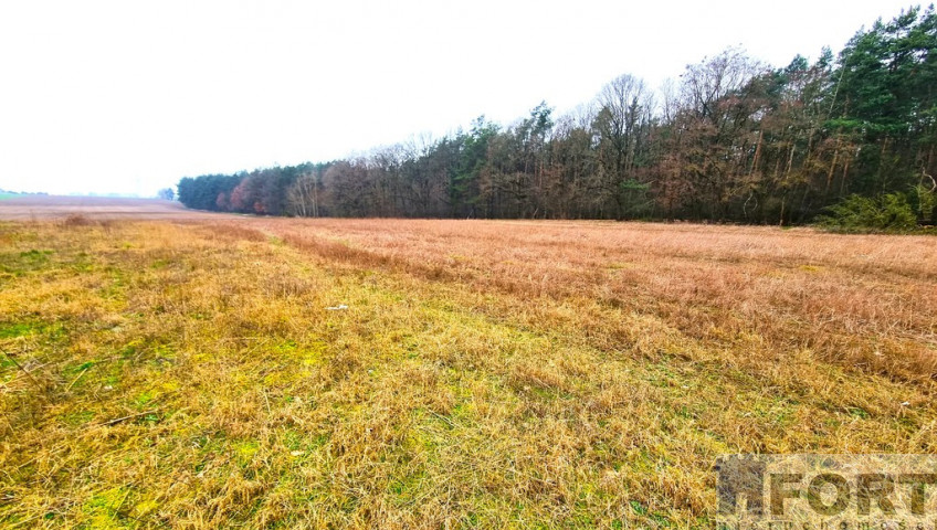 Działka Sprzedaż Żarowo Polna