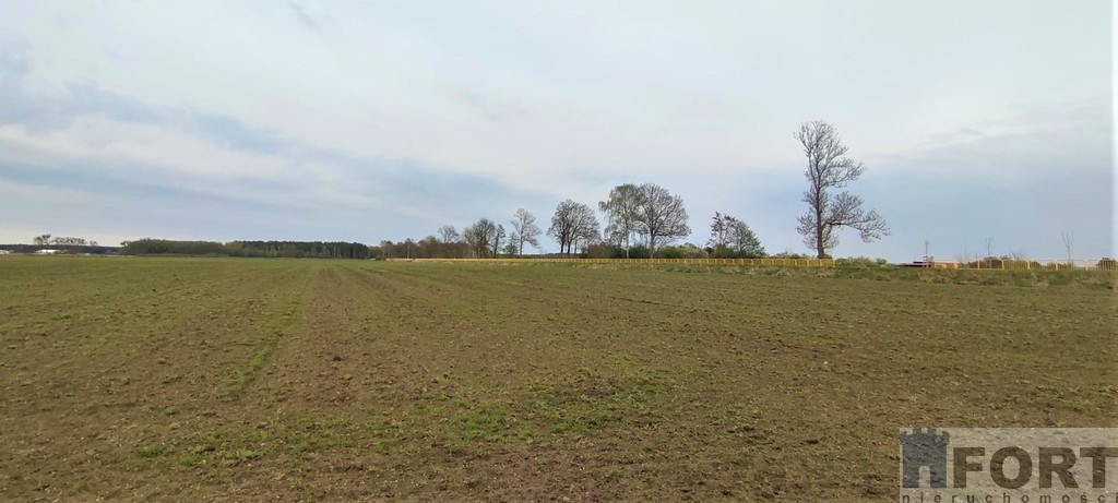 Działka Sprzedaż Lubczyna