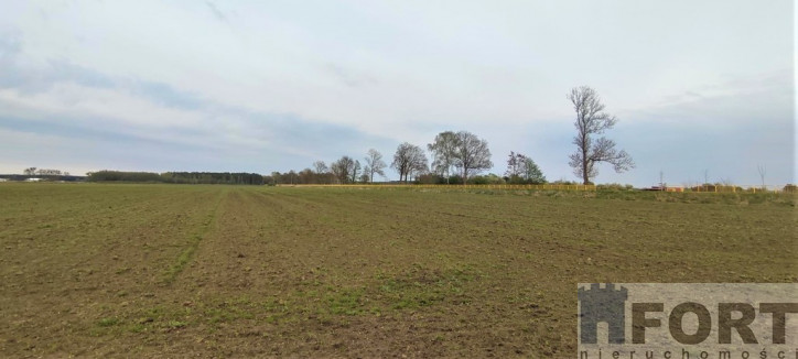 Działka Sprzedaż Lubczyna 4