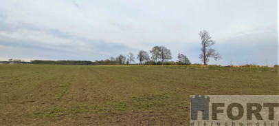Działka Sprzedaż Lubczyna