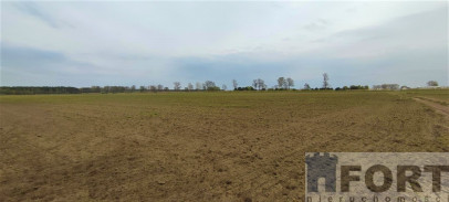 Działka Sprzedaż Lubczyna