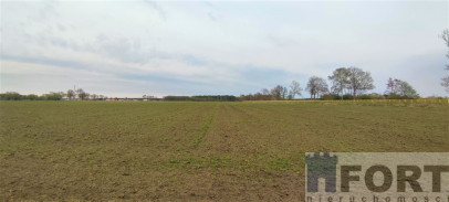 Działka Sprzedaż Lubczyna