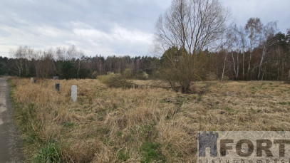 Działka Sprzedaż Dołuje