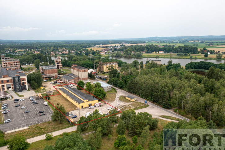 Obiekt Sprzedaż Osinów Dolny 1