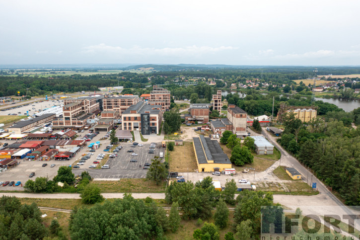 Obiekt Sprzedaż Osinów Dolny 2