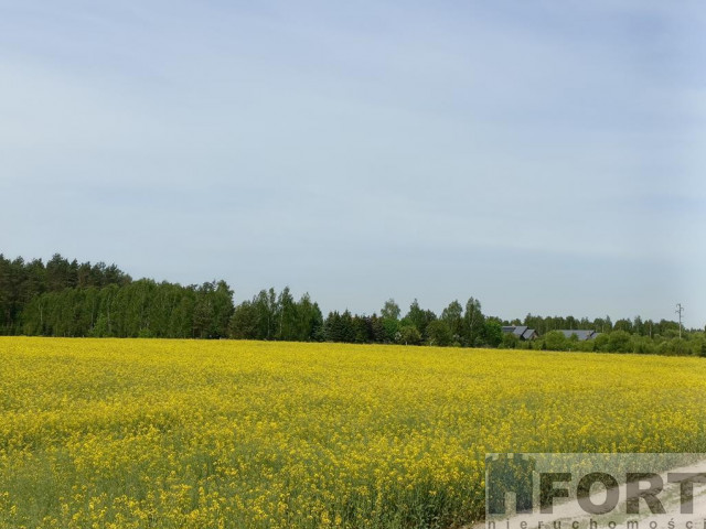 Działki pod zabudowę blisko lasu