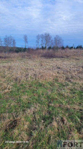 Działka Sprzedaż Zieleniewo 4