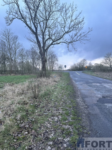 Działka Sprzedaż Ryszewko 6