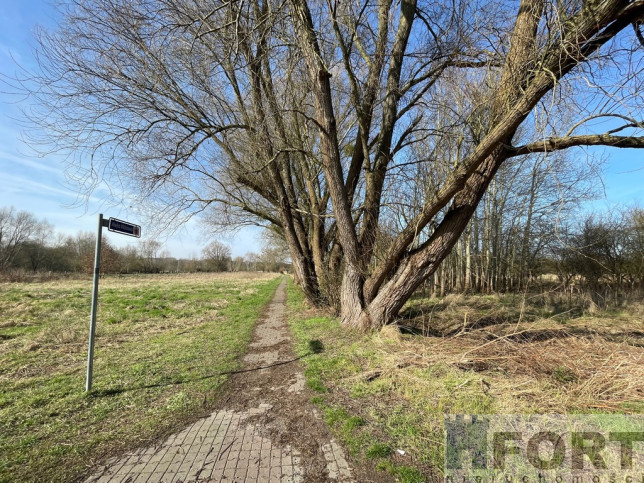Działka Sprzedaż Trzebież 5