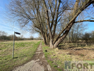 Działka Sprzedaż Trzebież