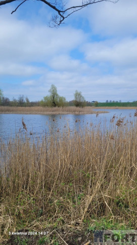 Działka Sprzedaż Zieleniewo 1