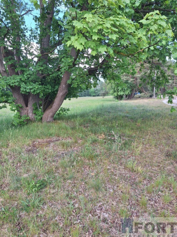Działka Sprzedaż Tanowo Szczecińska 8