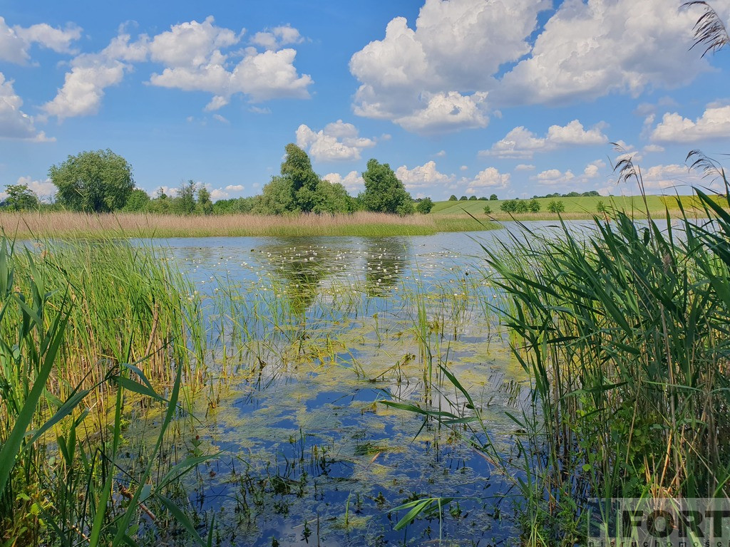 Działka Sprzedaż Zieleniewo