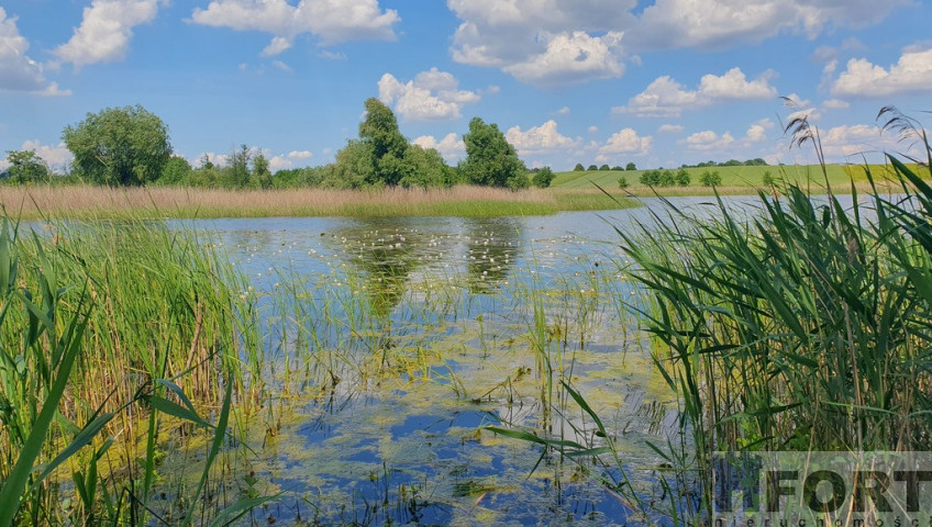 Działka Sprzedaż Zieleniewo