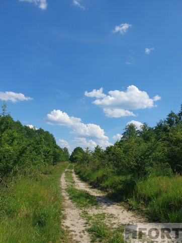 Działka Sprzedaż Zieleniewo 3