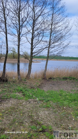 Działka Sprzedaż Zieleniewo 1