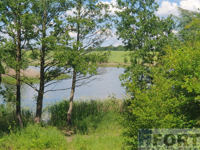 Działka Sprzedaż Zieleniewo 4