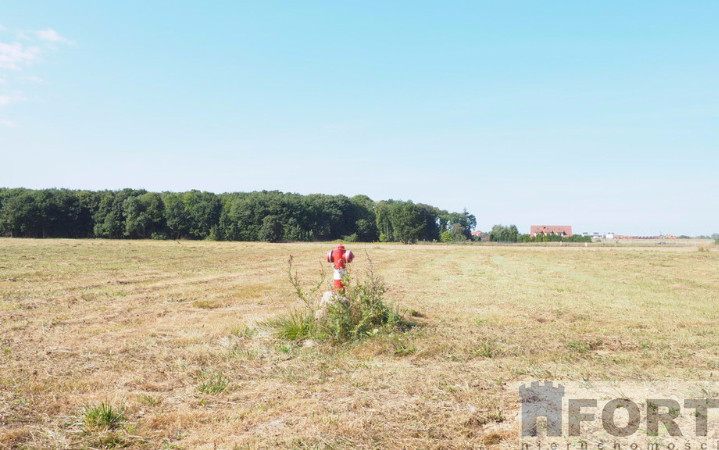 Działka Sprzedaż Śliwin 1