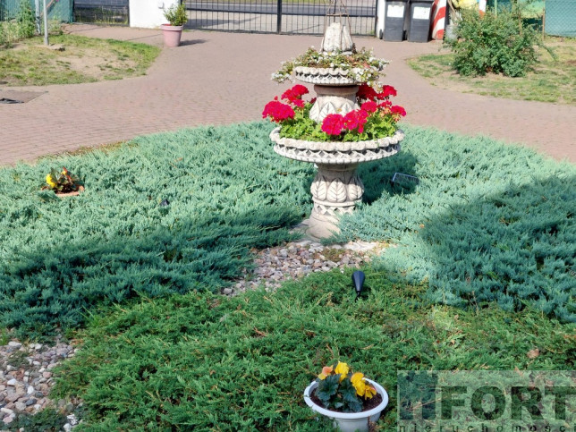 Dom Sprzedaż Pniewo Gryfińska 48