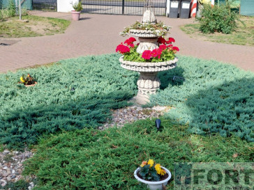 Dom Sprzedaż Pniewo Gryfińska